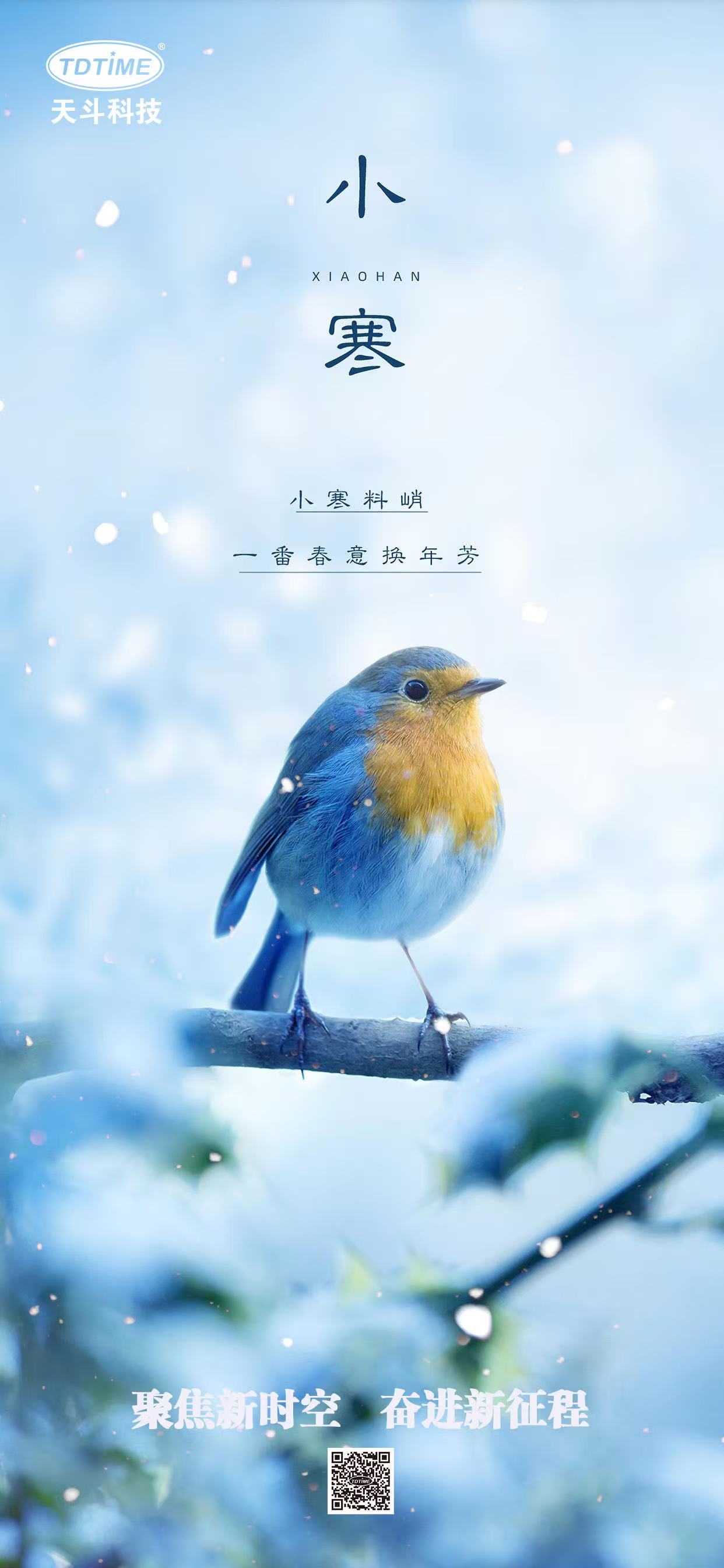 ����ʮ�Ľ�����С��